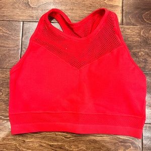 Red Mesh Crop Sports Bra